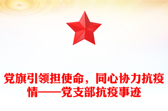 党旗引领担使命，同心协力抗疫情——党支部抗疫事迹