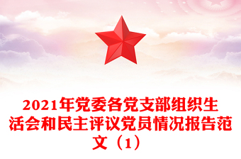 2021年党委各党支部组织生活会和民主评议党员情况报告范文（1）