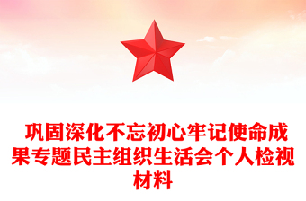  巩固深化不忘初心牢记使命成果专题民主组织生活会个人检视材料