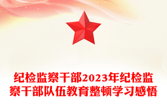 纪检监察干部2023年纪检监察干部队伍教育整顿学习感悟