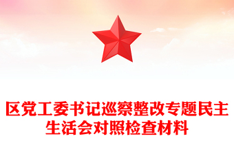 区党工委书记巡察整改专题民主生活会对照检查材料