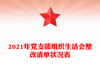 2021年党支部组织生活会整改清单状况表