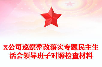 X公司巡察整改落实专题民主生活会领导班子对照检查材料