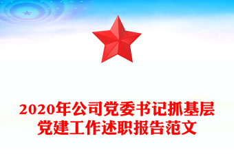 2020年公司党委书记抓基层党建工作述职报告范文