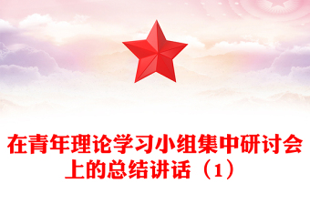 在青年理论学习小组集中研讨会上的总结讲话（1）