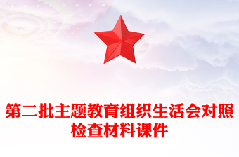 2023年第二批主题教育组织生活会对照检查材料