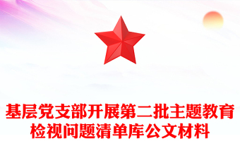 第二批主题教育问题清单