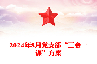 2024年8月党支部“三会一课”方案