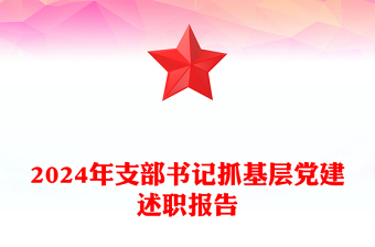 2024年支部书记抓基层党建述职报告