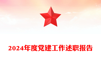 2024年度党建工作述职报告