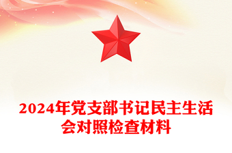 2024年党支部书记民主生活会对照检查材料