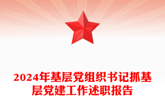 2024年基层党组织书记抓基层党建工作述职报告