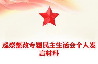 巡察整改专题民主生活会个人发言材料