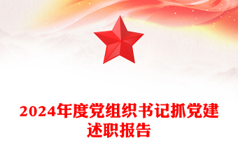 2024年度党组织书记抓党建述职报告