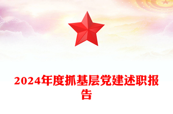 2024年度抓基层党建述职报告