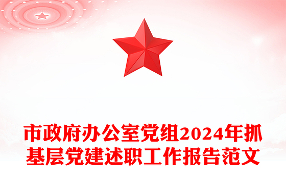 市政府办公室党组2024年抓基层党建述职工作报告范文