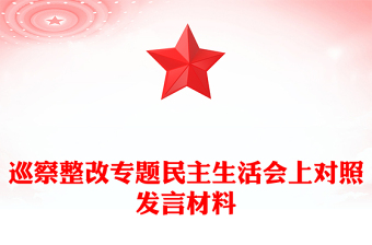 巡察整改专题民主生活会上对照发言材料