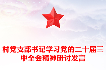 村党支部书记学习党的二十届三中全会精神研讨发言
