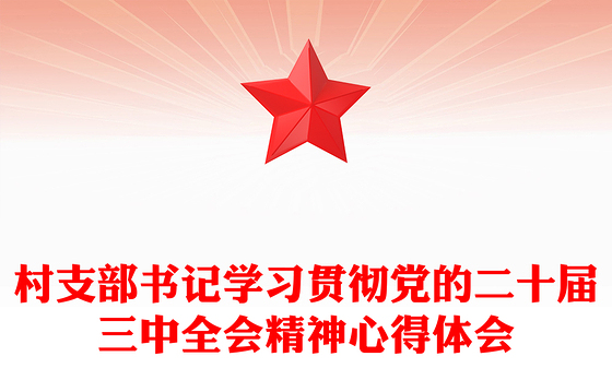 村支部书记学习贯彻党的二十届三中全会精神心得体会