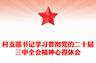 村支部书记学习贯彻党的二十届三中全会精神心得体会