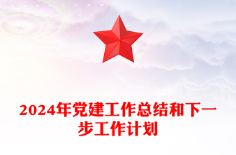 2024年党建工作总结和下一步工作计划