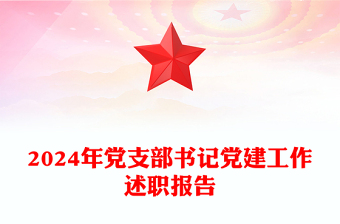 2024年党支部书记党建工作述职报告