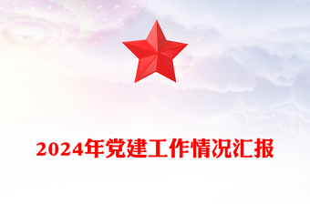 2024年党建工作情况汇报