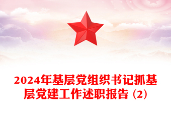 2024年基层党组织书记抓基层党建工作述职报告 (2)