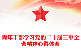 青年干部学习党的二十届三中全会精神心得体会
