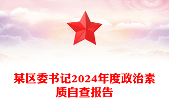 某区委书记2024年度政治素质自查报告