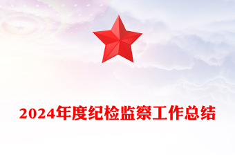 2024年度纪检监察工作总结