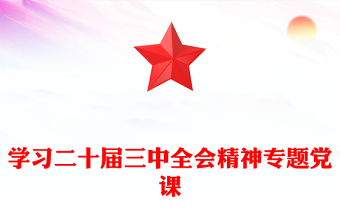 学习二十届三中全会精神专题党课