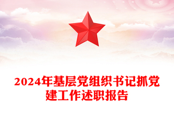 2024年基层党组织书记抓党建工作述职报告