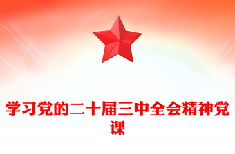 学习党的二十届三中全会精神党课
