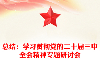 总结：学习贯彻党的二十届三中全会精神专题研讨会