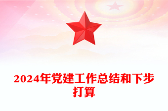 2024年党建工作总结和下步打算