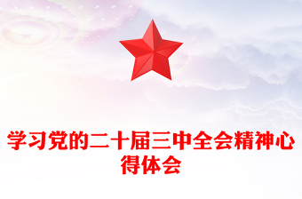 学习党的二十届三中全会精神心得体会