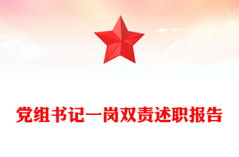 党组书记一岗双责述职报告