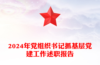 2024年党组织书记抓基层党建工作述职报告