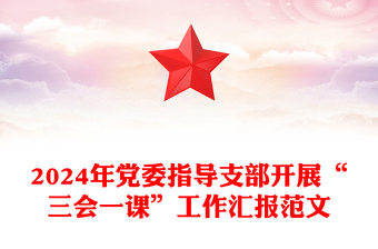 2024年党委指导支部开展“三会一课”工作汇报范文