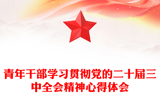 青年干部学习贯彻党的二十届三中全会精神心得体会
