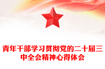 青年干部学习贯彻党的二十届三中全会精神心得体会