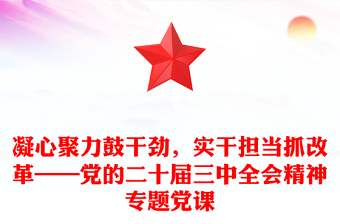 凝心聚力鼓干劲，实干担当抓改革——党的二十届三中全会精神专题党课