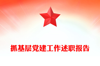 抓基层党建工作述职报告