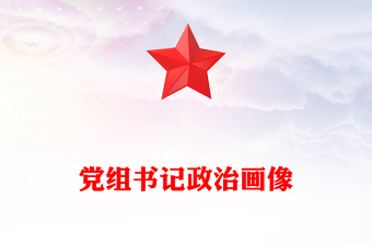 党组书记政治画像