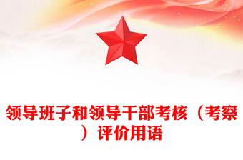 领导班子和领导干部考核（考察）评价用语
