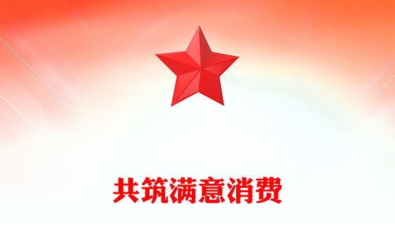 共筑满意消费PPT2025年315消费者权益保护日宣传课件(讲稿)