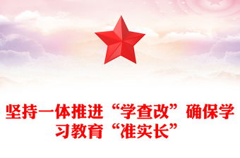 精美简洁坚持一体推进“学查改”确保学习教育“准实长”PPT主题教育党(讲稿)