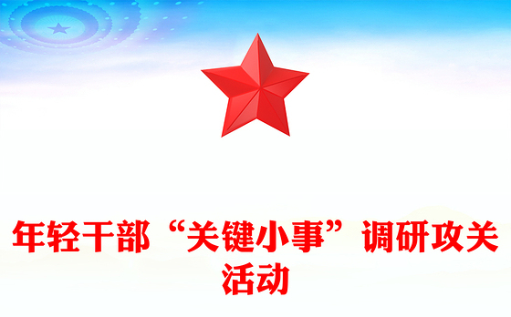做实“关键小事”PPT年轻干部“关键小事”调研攻关活动课件(讲稿)