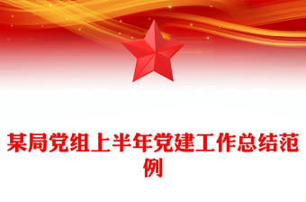 精美简洁某局党组上半年党建工作总结PPT模板(讲稿)